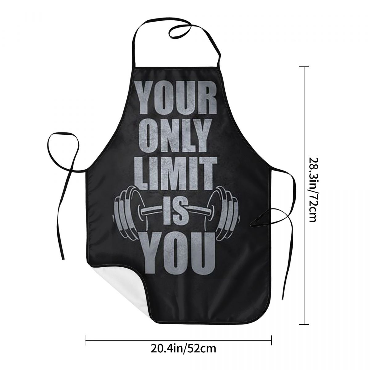Gym Sport Bodybuilding Workout - Kitchen Baking Quotes 评论和价格